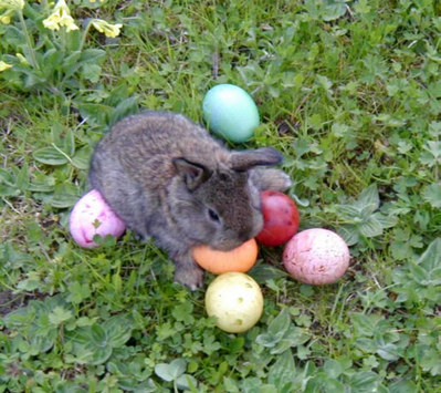 Ostern!!!! -- Cliquez pour voir l'image en entier